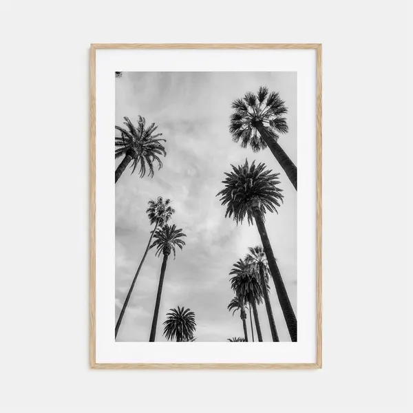 Santa Monica Black And White Travel Poster, No. 1