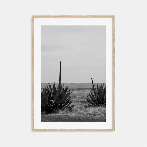 Texas Black And White Travel Poster, Wall Photography