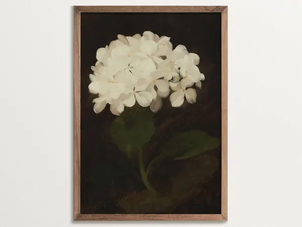 White Hydrangea, Dark Academia Botanical Art Print