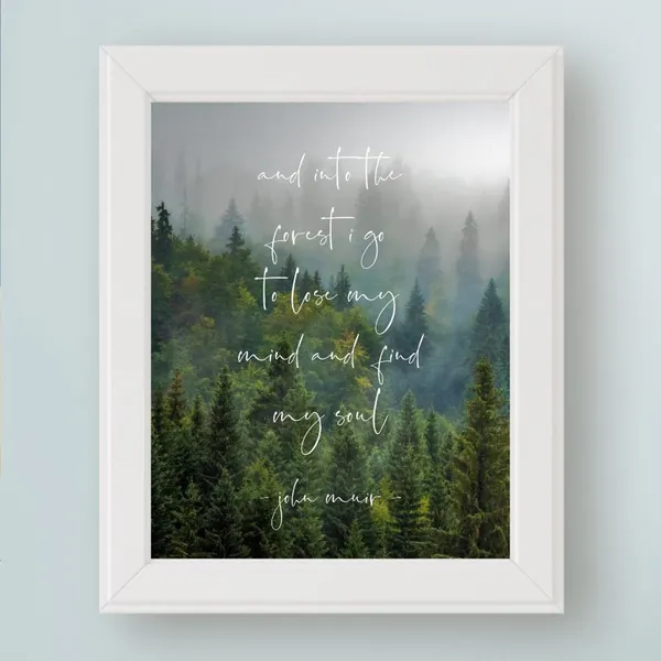 John Muir Quote, And Into The Forest I Go Art Print