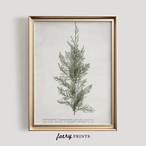 Juniper Tree Vintage Winter Art Print, Rustic Decor