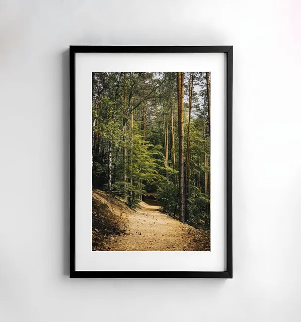 Forest Photography Nature Wall Art Print