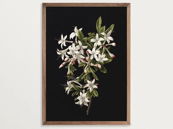 Azaleas in Bloom Botanical Art Print, Dark Academia