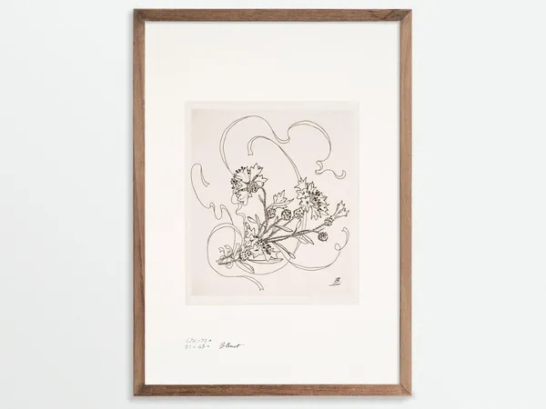 Cornflower Vintage Botanical Sketch, Chinoiserie Art Print