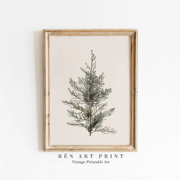 Juniper Branch Vintage Christmas Wall Decor
