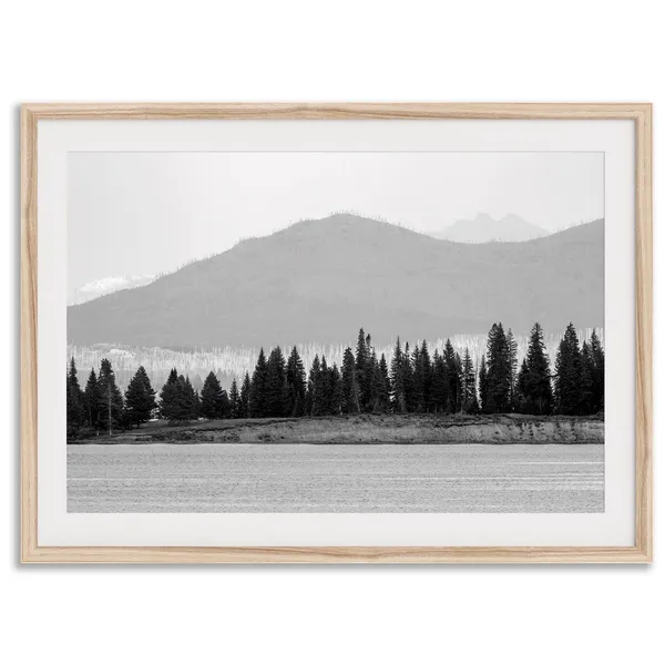 Lake Trees Black And White Forest Wall Art Print
