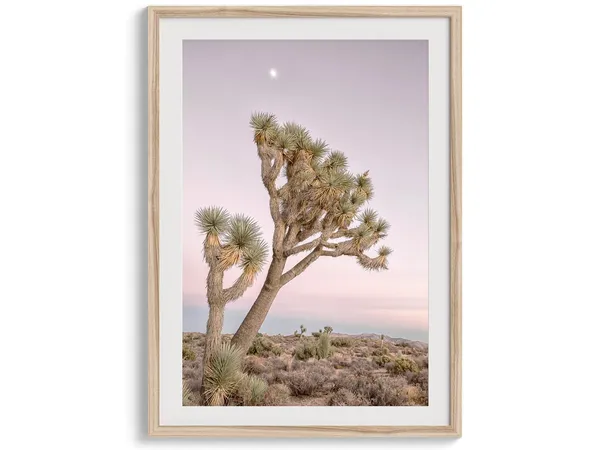 Joshua Tree Pink Sky Sunset, California Travel Poster