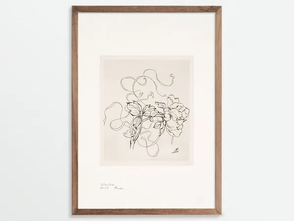 Pivoine Peony Chinoiserie Botanical Art Print