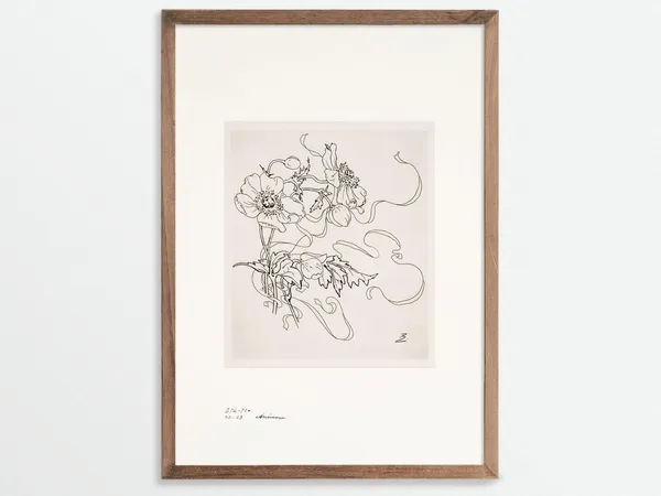 Anemone Sketch Print, Vintage Chinoiserie Botanicals