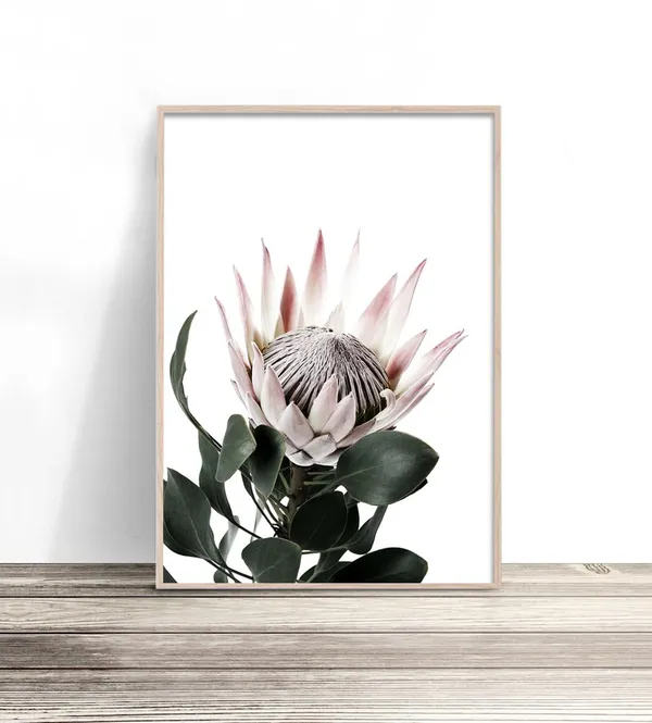 King Protea Print, Floral Bedroom Wall Decor