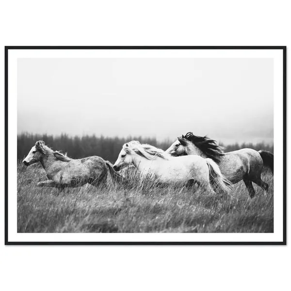 Wild Horses Mountain Black And White Art Print
