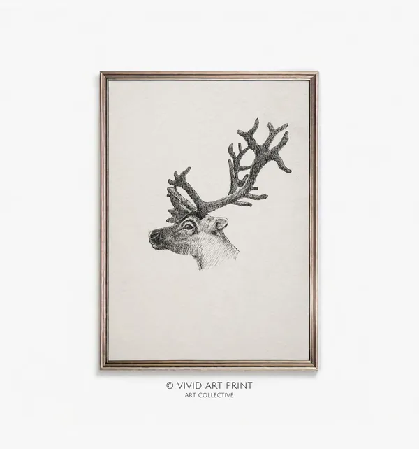 Vintage Young Reindeer Antler Sketch Art Print