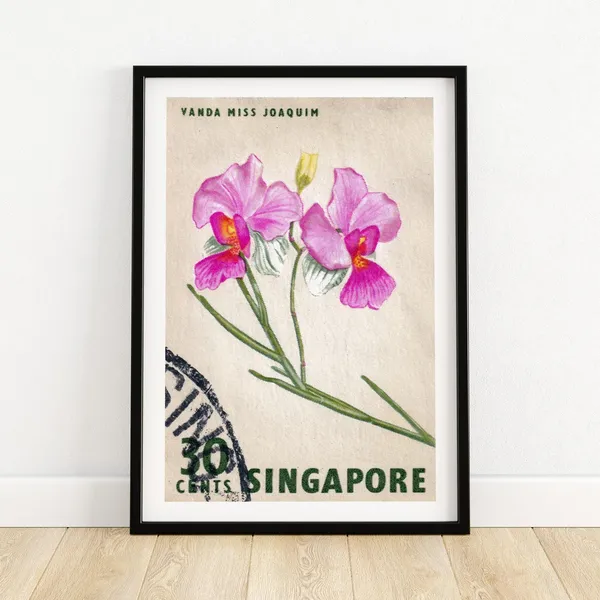 Pink And White Flower Singapore Vintage Poster Print