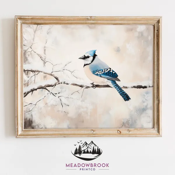Blue Jay On Frosty Pine Branches, Rustic Vintage Art Print