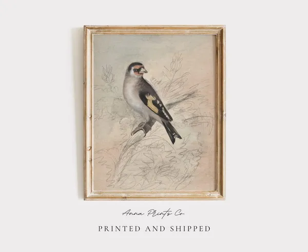 European Goldfinch Vintage Watercolor Bird Art Print