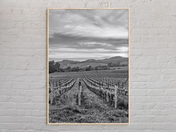 Black And White Napa Valley Travel Poster