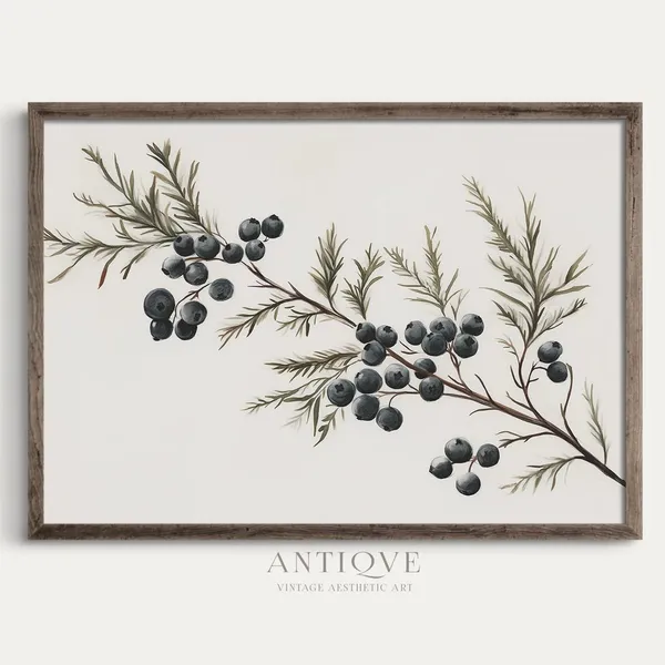 Juniper Berry Branch, Rustic Holiday Art Print