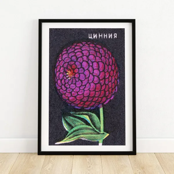 Purple Flower Matchbox Vintage Eastern Europe Poster Print