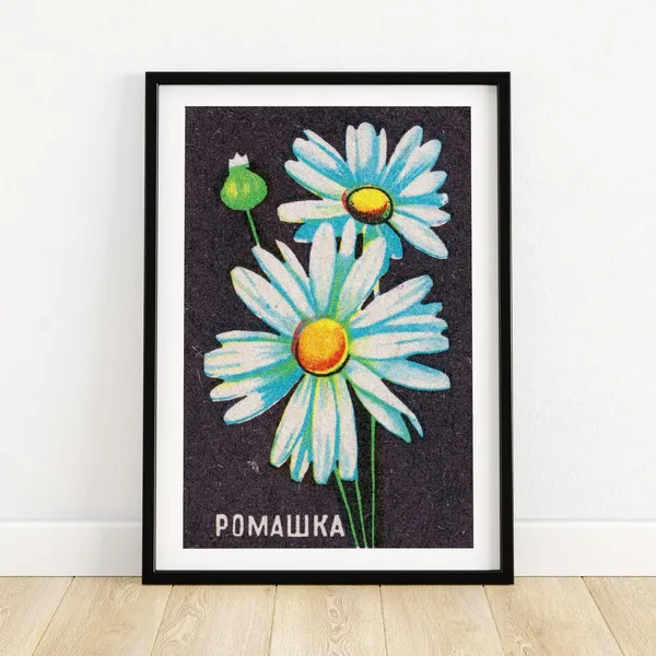 Daisy Flowers Matchbox Print, Vintage Poster