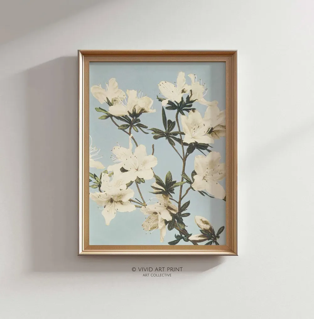Vintage Azalea Blooms Botanical Illustration Art Print