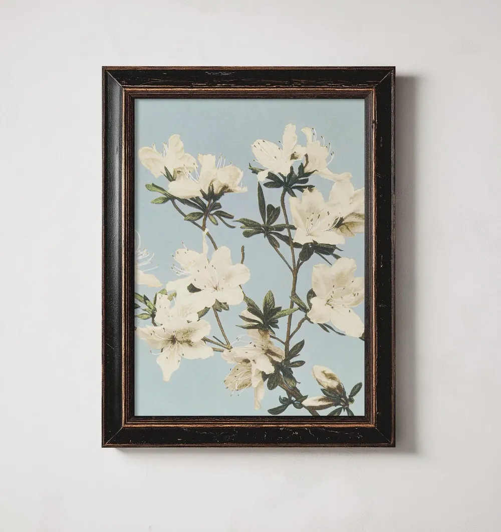 Vintage Azalea Blooms Botanical Illustration Art Print - Image 2