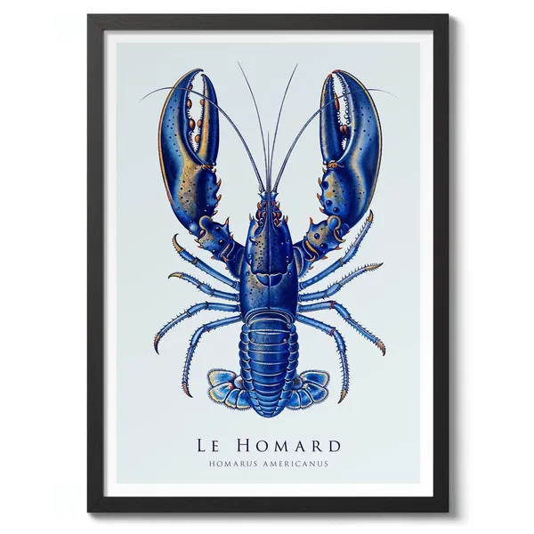 Lobster Illustration Art Print, Nature Poster