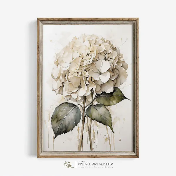 White Hydrangea Watercolor Vintage Botanical Art Print