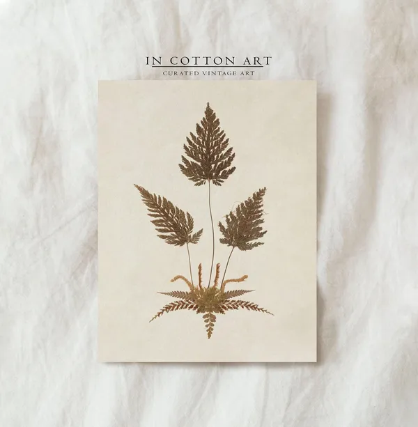 Antique Neutral Fern, Vintage Botanical Art Print