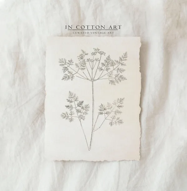 Vintage Botanical Branch Sketch Art Print, Farmhouse