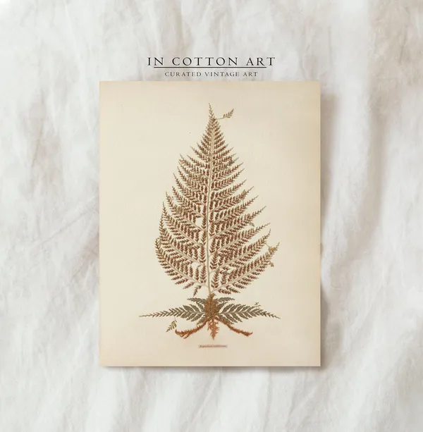 Vintage Kitchen Fern Botanical Art Print, Farmhouse