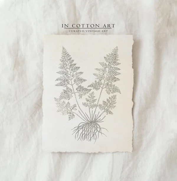 Antique Branch Drawing Vintage Fern Sketch Art Print