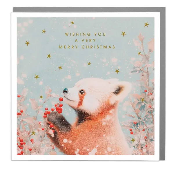 Red Panda Merry Christmas Card, Holiday Art Print