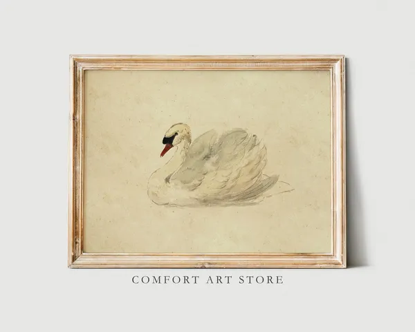 Vintage Swan Watercolor Art Print, Rustic Valentine