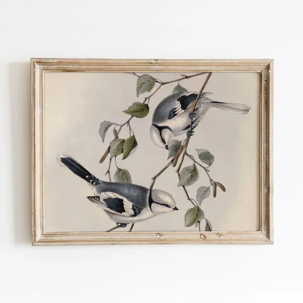 Azure Birds Vintage Watercolor Bird Art Print
