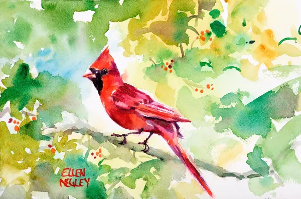 Ellen Negley Cardinal Watercolor Art Print, Florida
