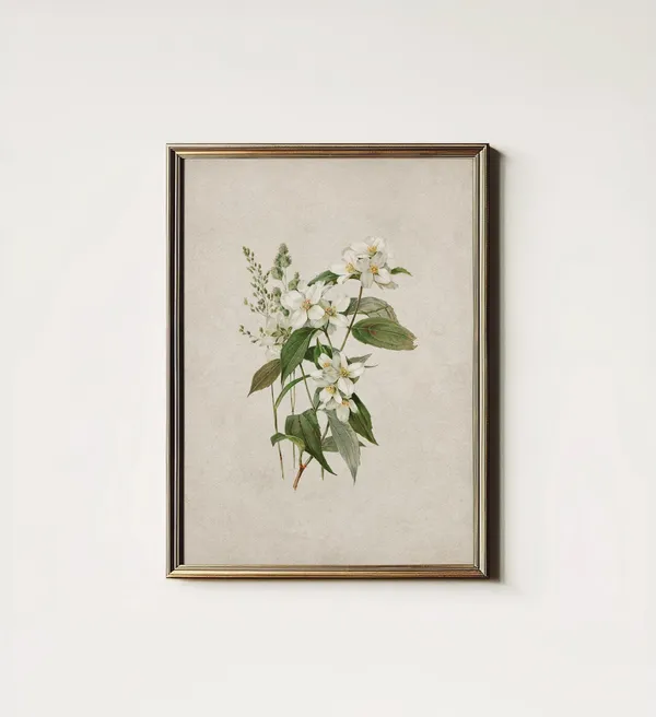 Neutral Botanical Prints, Scandinavian Farmhouse Art