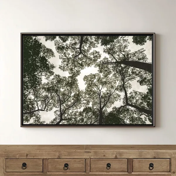 Tree Canopy Photo Art, Abstract Forest Nature