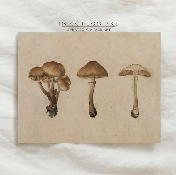 Vintage Mushroom Botanical Watercolor Art Print