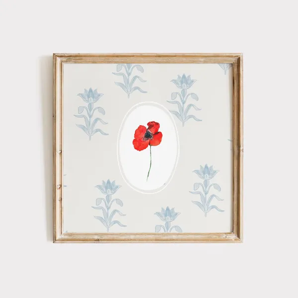 Poppy Botanical Illustration Art Print, Cottage Decor