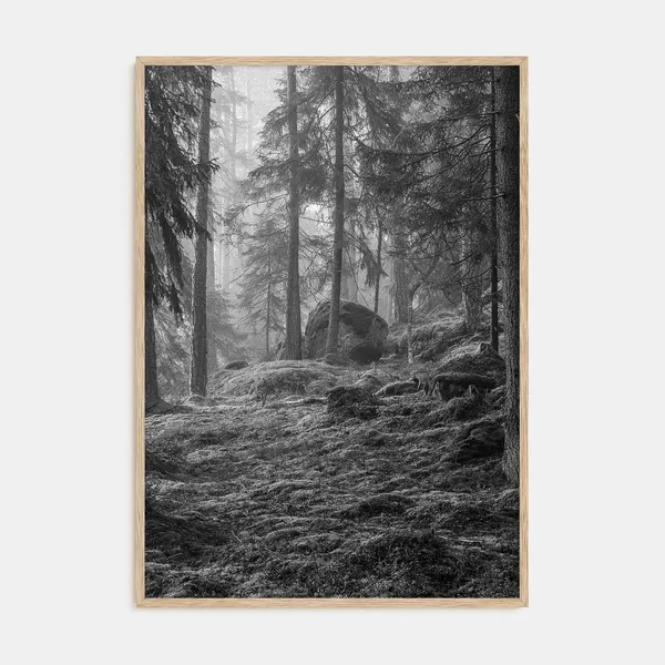 Pine Tree Forest Black and White Nature Art Print
