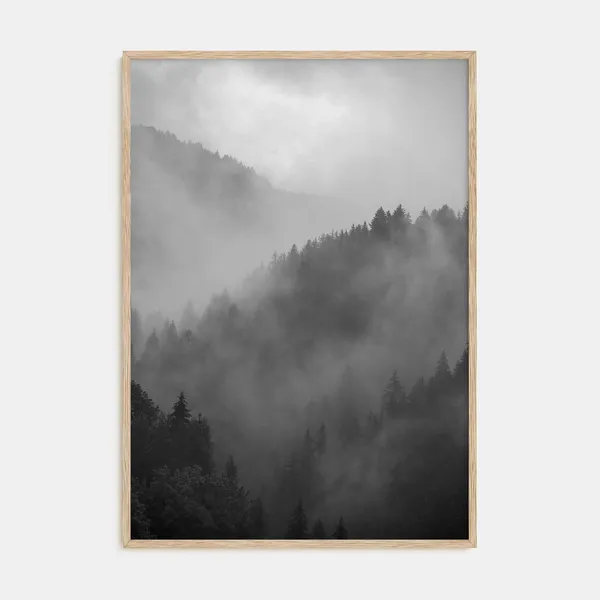 Pine Tree Forest, Black White Photography Art Print