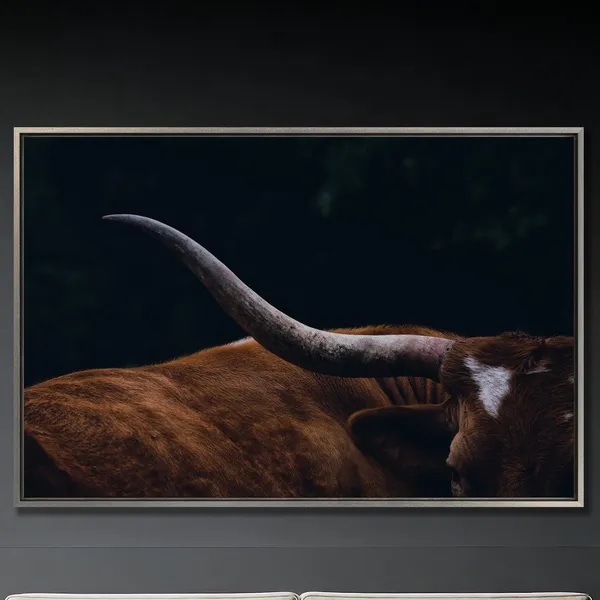 Texas Longhorn Cow Print Art Poster, Animal Close-Up