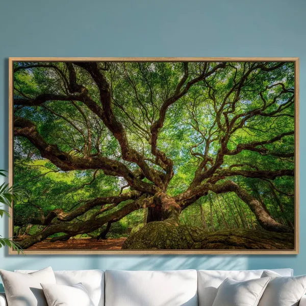 Angel Oak, Charleston South Carolina Travel Poster