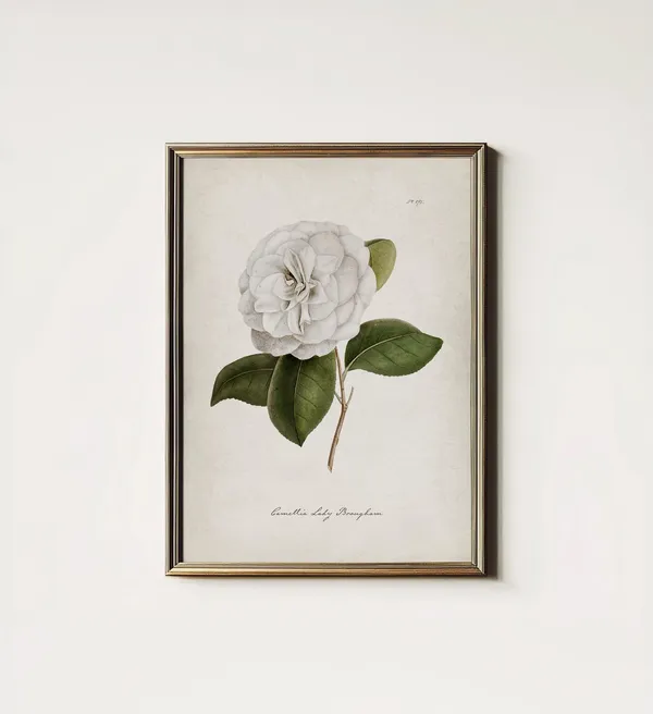 Cottagecore Botanical Flower Art Print, Bedroom Decor
