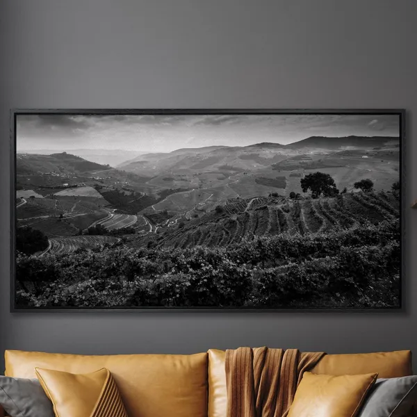 Black And White Douro Valley Vineyard Landscape Print