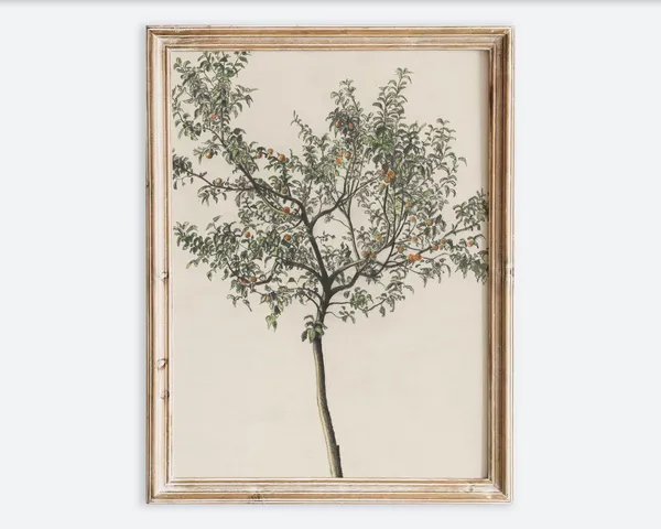 Vintage European Fruit Tree Sketch Art Print