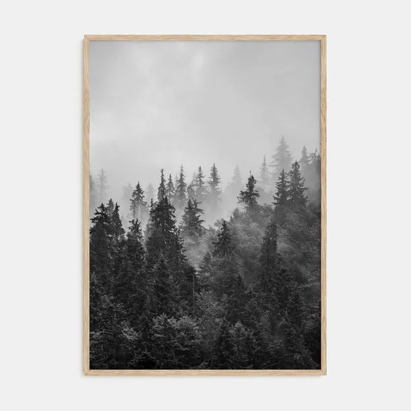 Foggy Forest Photography Art Print, Black And White