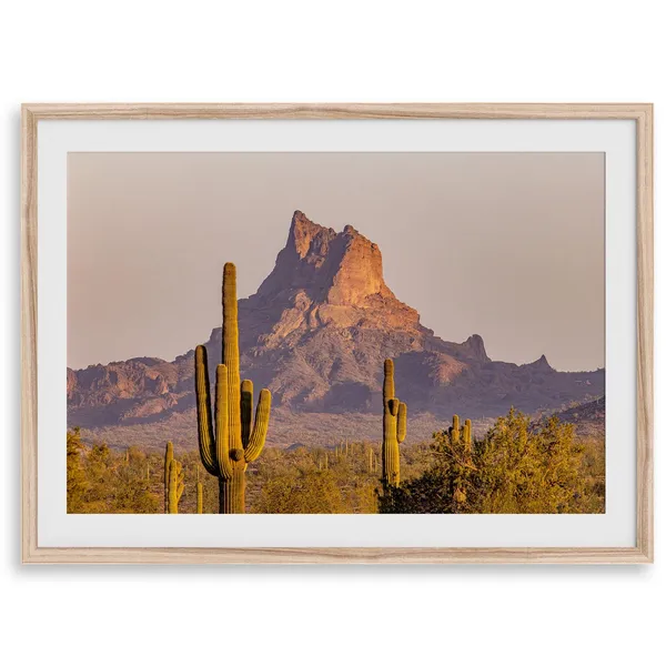 Saguaro Cactus Arizona Art Print, Desert Photography