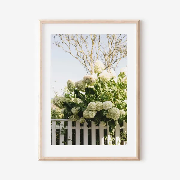 Nantucket Cape Cod New England Coastal Decor Art Print