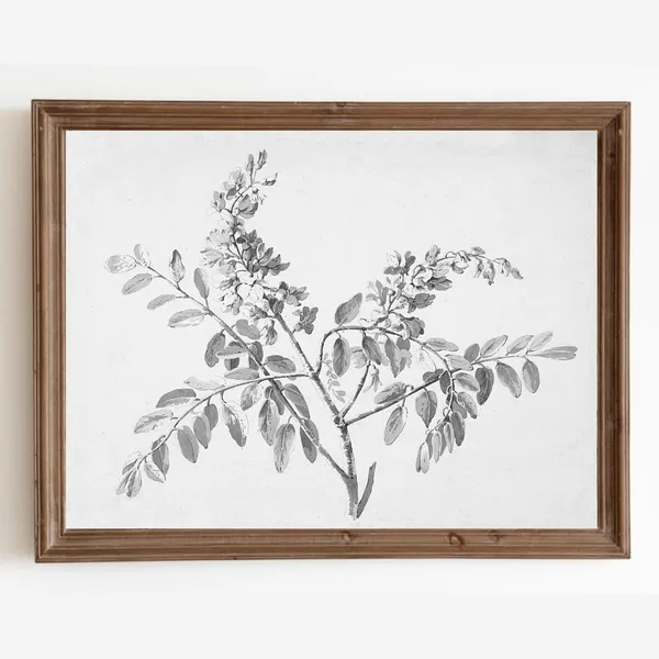 Vintage Botanical Branch Sketch, Farmhouse Art Print